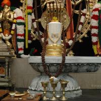 MC20Nov2007 025_CMP_WM